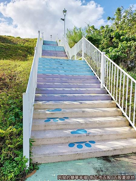 五股夏綠地04-彩色階梯.jpg