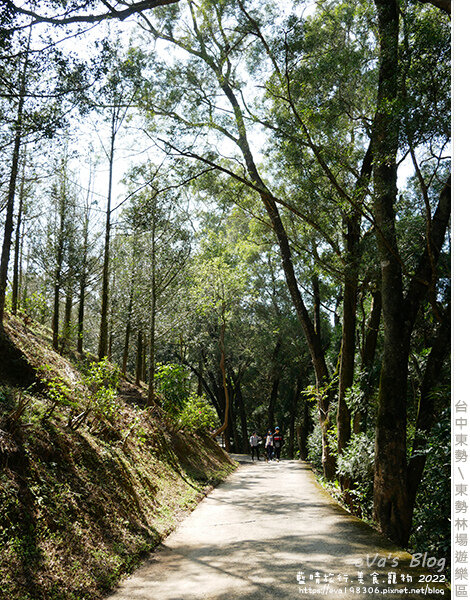 東勢林場-53.jpg