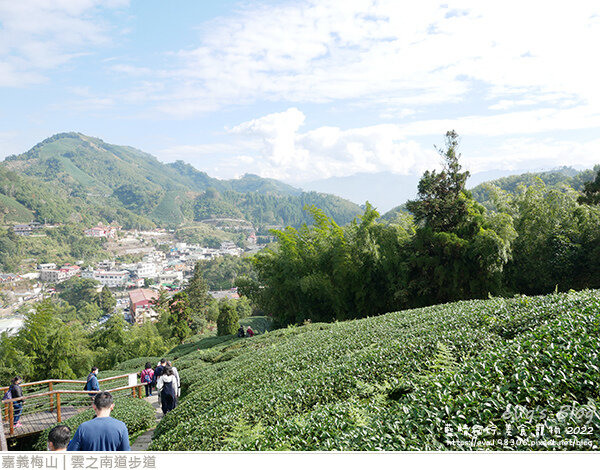 雲之南道茶園步道-21.jpg