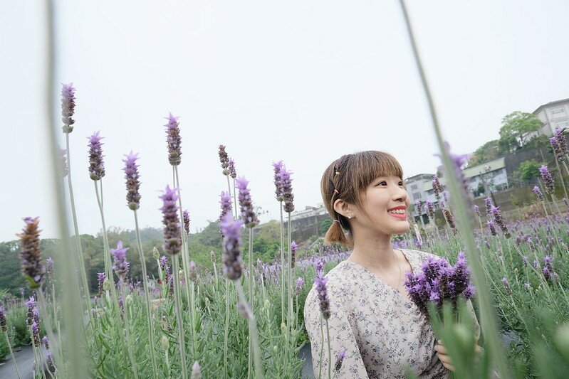 ［苗栗頭屋景點］葛瑞絲香草田 (22)