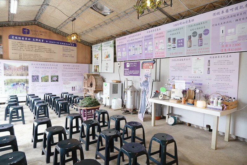 ［苗栗頭屋景點］葛瑞絲香草田 (68)