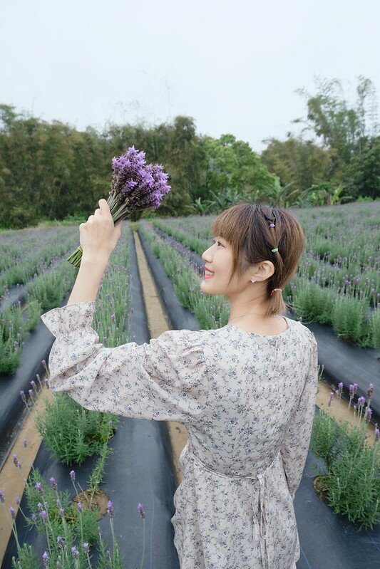 ［苗栗頭屋景點］葛瑞絲香草田 (34)