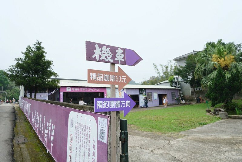 ［苗栗頭屋景點］葛瑞絲香草田 (8)