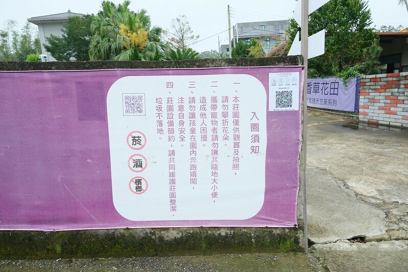 ［苗栗頭屋景點］葛瑞絲香草田 (9)