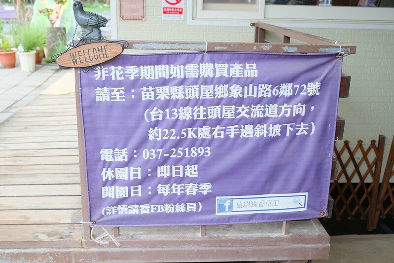 ［苗栗頭屋景點］葛瑞絲香草田 (11)