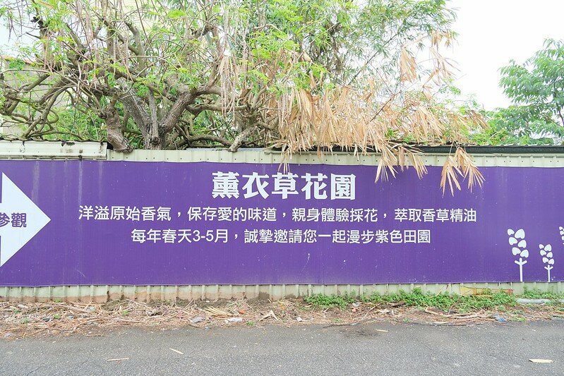 ［苗栗頭屋景點］葛瑞絲香草田 (6)