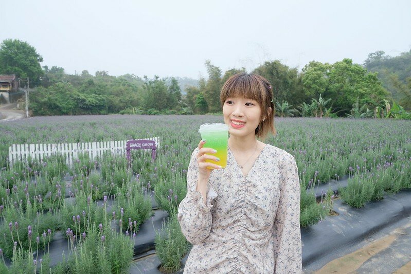 ［苗栗頭屋景點］葛瑞絲香草田 (84)
