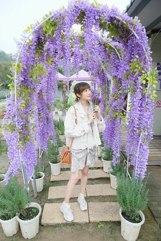 ［苗栗頭屋景點］葛瑞絲香草田 (14)
