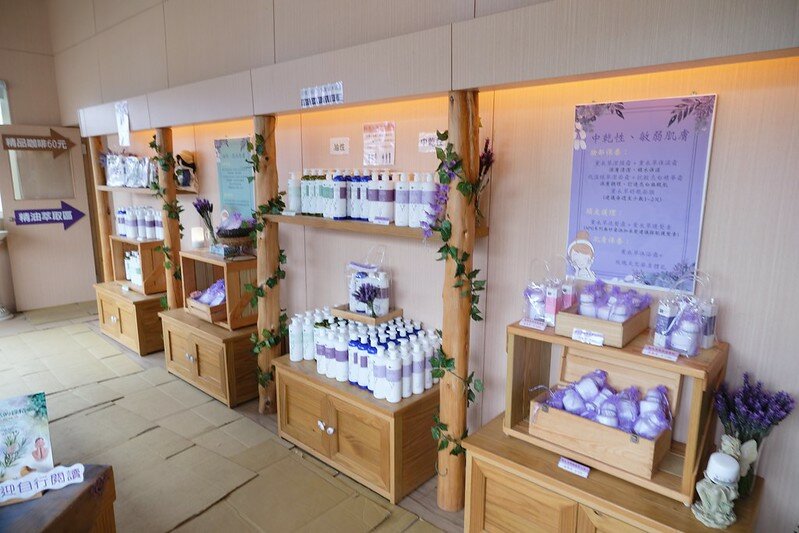 ［苗栗頭屋景點］葛瑞絲香草田 (55)