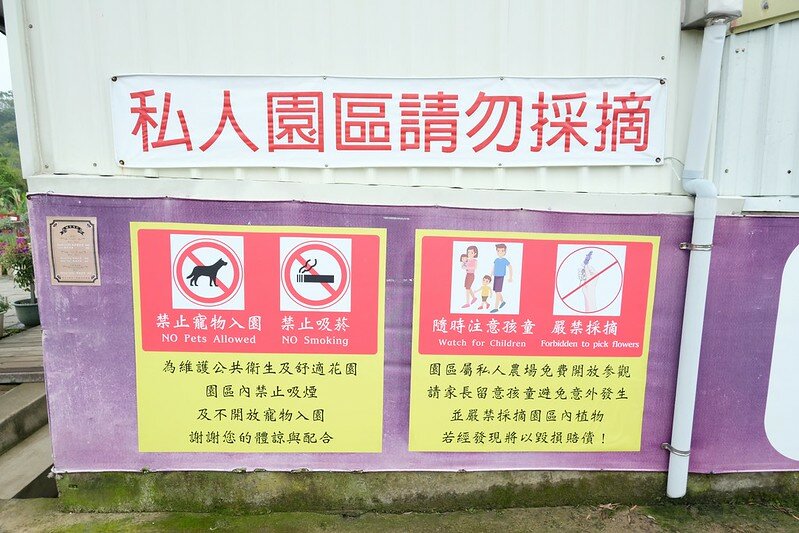 ［苗栗頭屋景點］葛瑞絲香草田 (10)