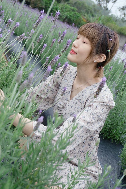 ［苗栗頭屋景點］葛瑞絲香草田 (44)
