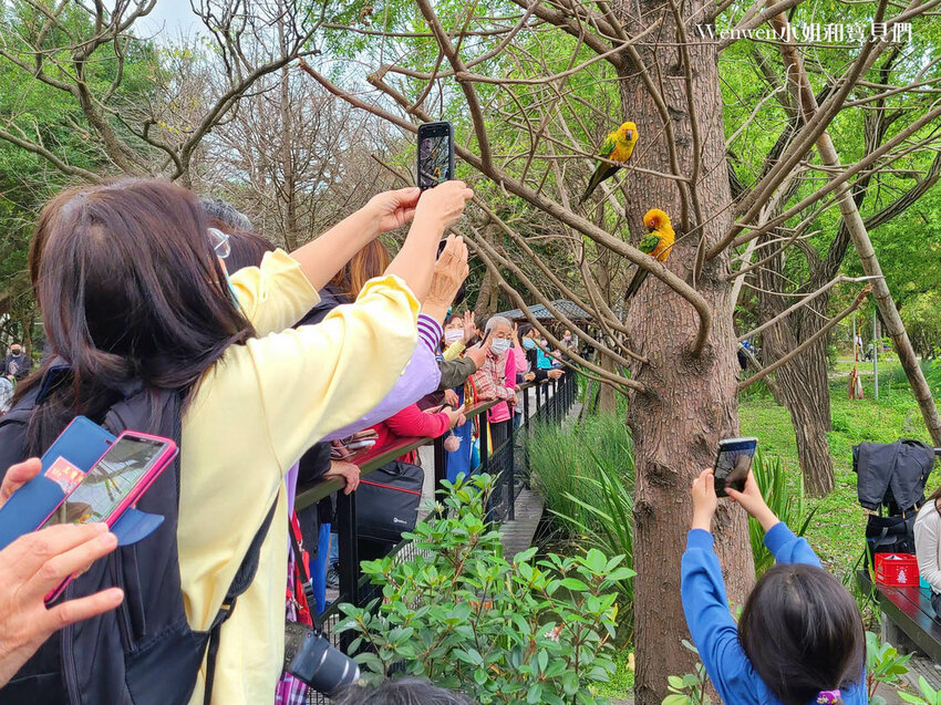 大安森林公園可愛鸚鵡與黃色小鴨 (2).jpg