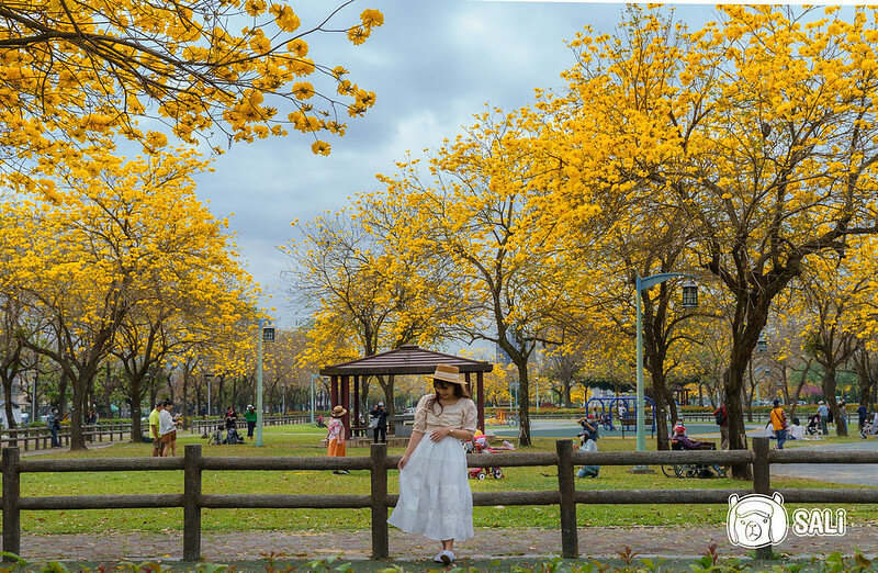 0314黃色風鈴花-7