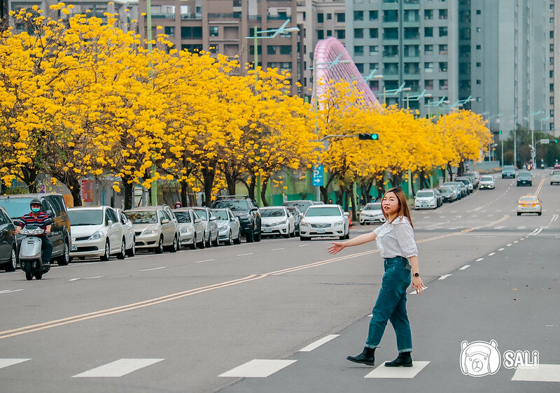 0314黃色風鈴花 走路