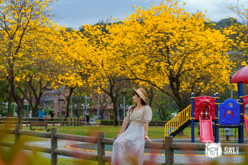 0314黃色風鈴花-5