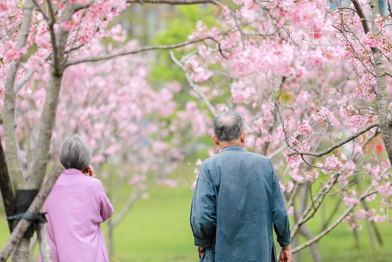 1J6A9509-2拷貝 拷貝