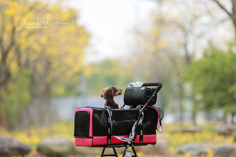 1J6A9286-2拷貝 拷貝