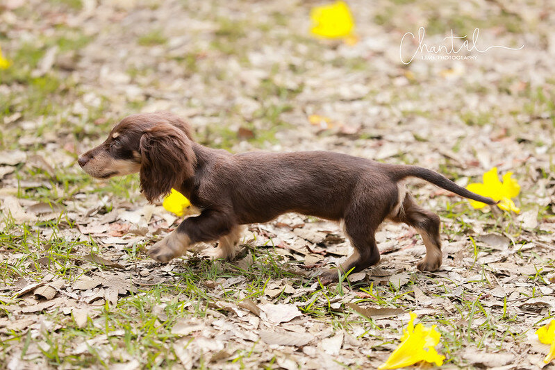 1J6A9352-2拷貝 拷貝