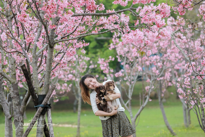 1J6A9596-2拷貝 拷貝