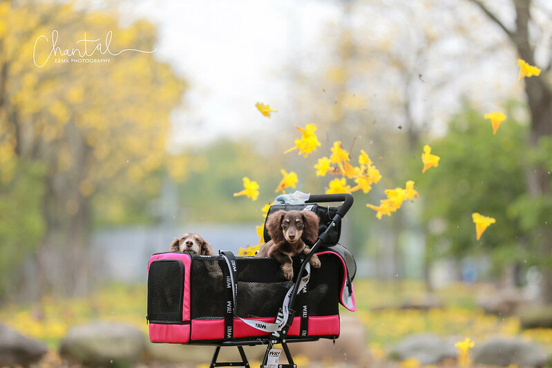 1J6A9297-2拷貝 拷貝