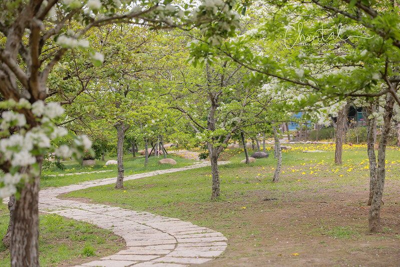 1J6A9521-2拷貝 拷貝