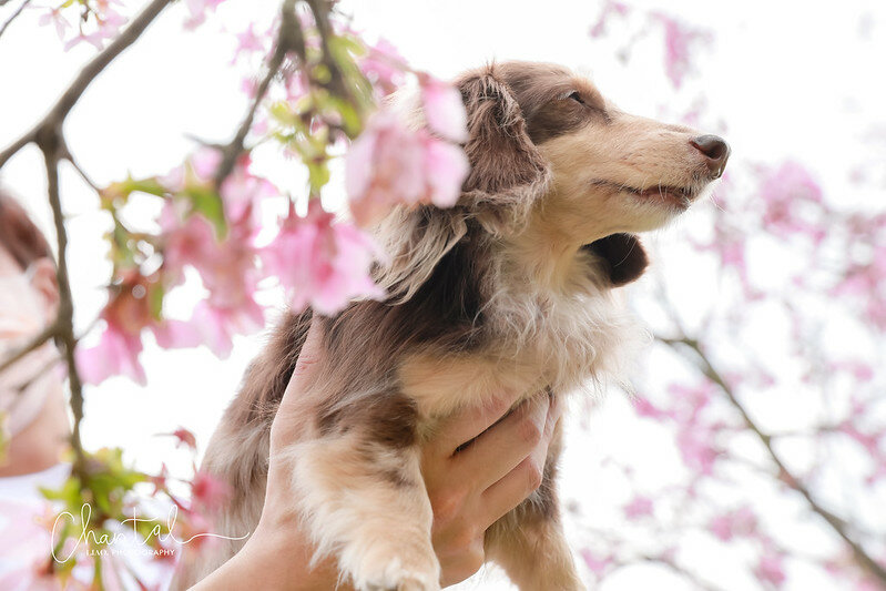 1J6A9401-2拷貝 拷貝