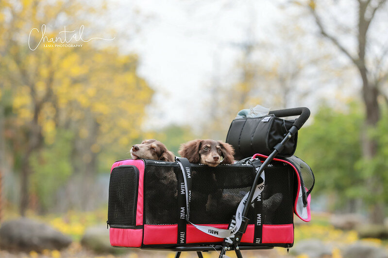 1J6A9278-2拷貝 拷貝