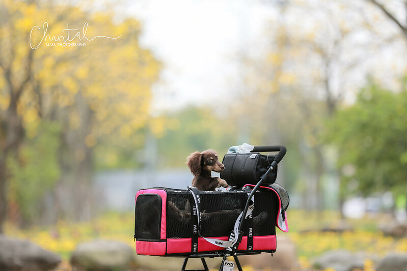 1J6A9287-2拷貝 拷貝