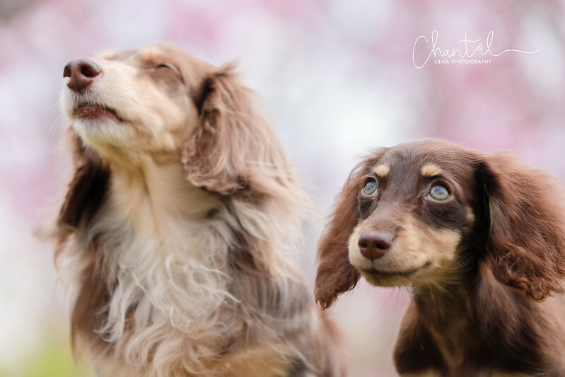 1J6A9435-2拷貝 拷貝