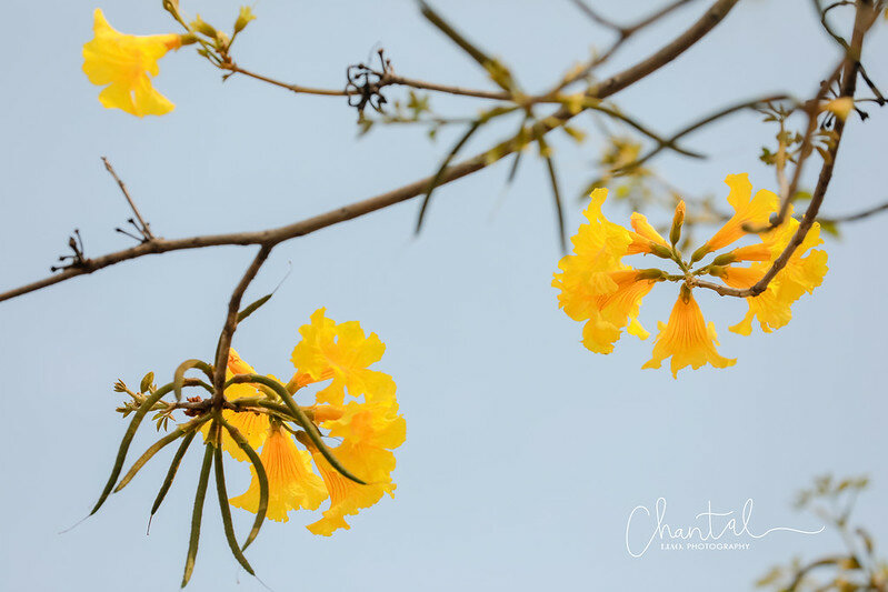 1J6A9257-2拷貝 拷貝