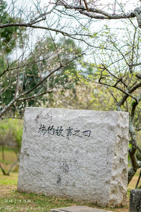 桃園櫻花秘境─角板山公園10.jpg