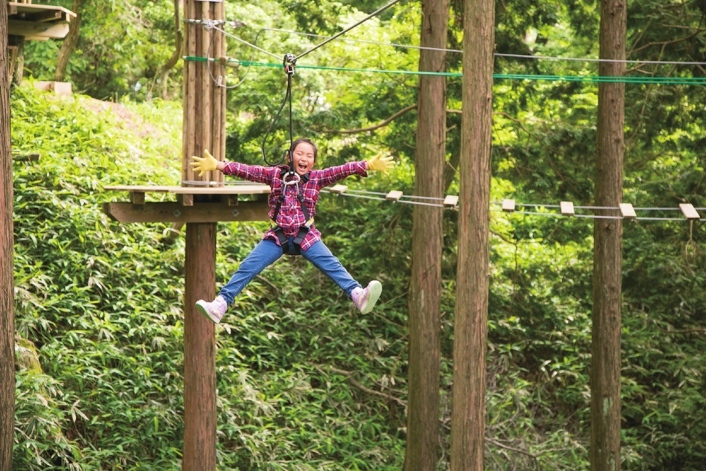 食蟻獸寶每天討抱賣萌 水豚君療癒互動 2022年必看日本神戶陸.海.空四大親子旅遊亮點