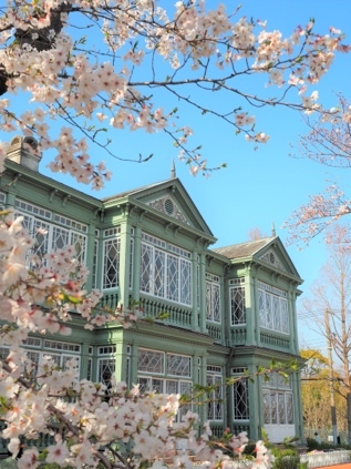 食蟻獸寶每天討抱賣萌 水豚君療癒互動 2022年必看日本神戶陸.海.空四大親子旅遊亮點