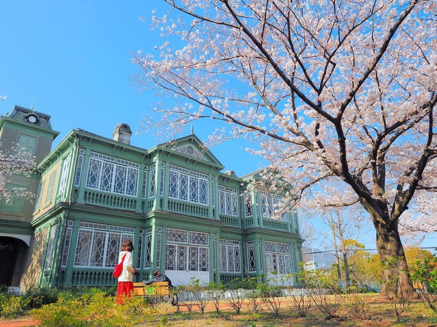 2022年日本神戶春爛漫〜名湯古街、瀨戶內海、櫻花與電車 6大場景賞櫻7選