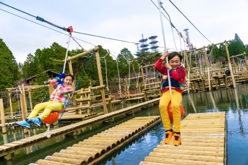 食蟻獸寶每天討抱賣萌 水豚君療癒互動 2022年必看日本神戶陸.海.空四大親子旅遊亮點