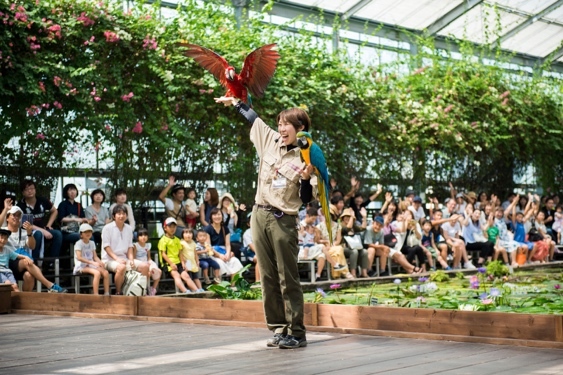 食蟻獸寶每天討抱賣萌 水豚君療癒互動 2022年必看日本神戶陸.海.空四大親子旅遊亮點