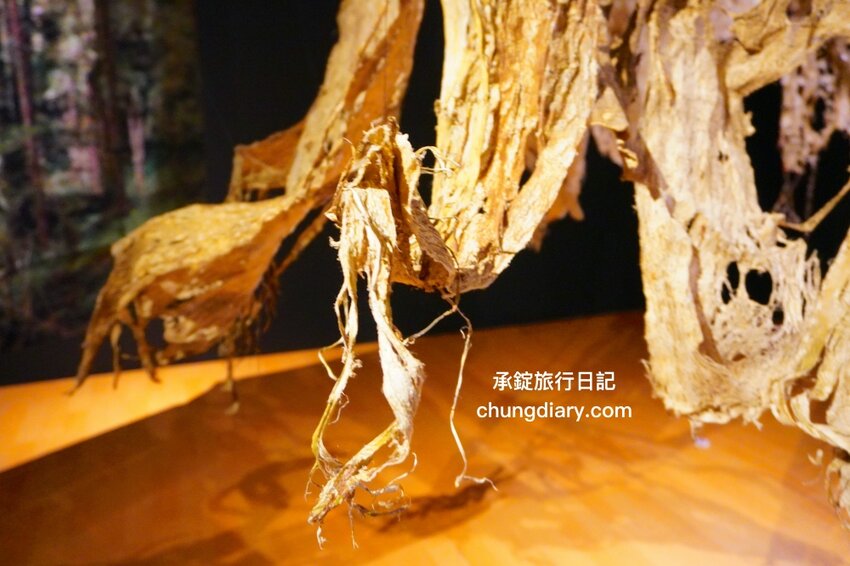 鄰近大溪老街～免費展覽推薦《再創自然之詩-敲敲原樣》桃園市原住民族文化會館