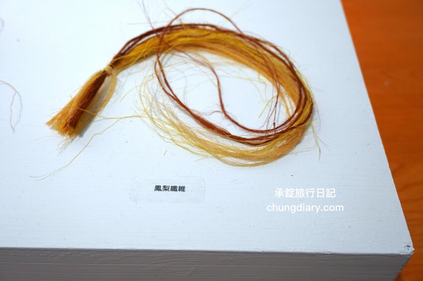 鄰近大溪老街～免費展覽推薦《再創自然之詩-敲敲原樣》桃園市原住民族文化會館