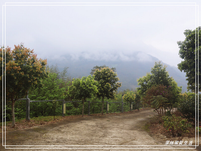 仙境露營區-新竹尖石/NO.33露(2022.03.05-06)