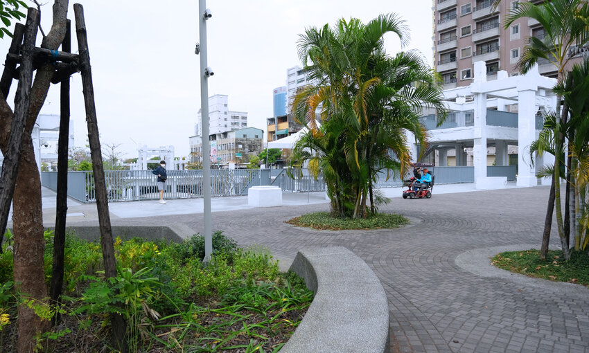 河樂廣場前的樹叢