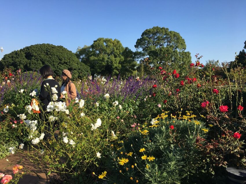 橫濱一日遊景點推薦！紅磚倉庫、大棧橋等～跟著在地人走遍橫濱浪漫景點吧！