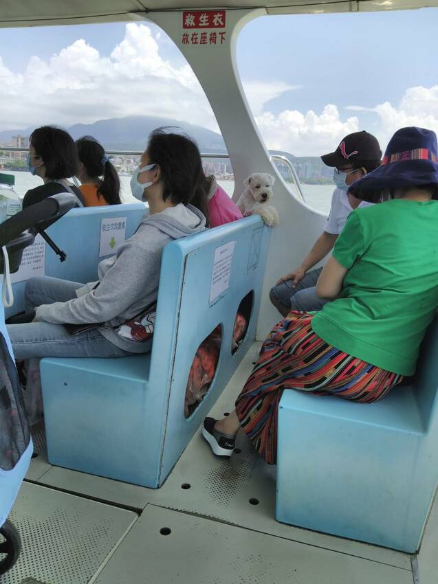 淡水伴手禮推薦！來淡水旅遊想再回購的淡水伴手禮除了鐵蛋還有這款！