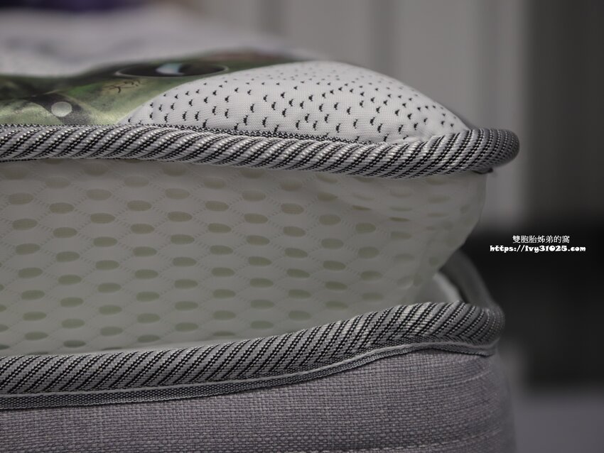 桃園沙發床墊推薦-愛莎家居沙發床墊龜山體驗館量身訂做擁有一個夢想的家