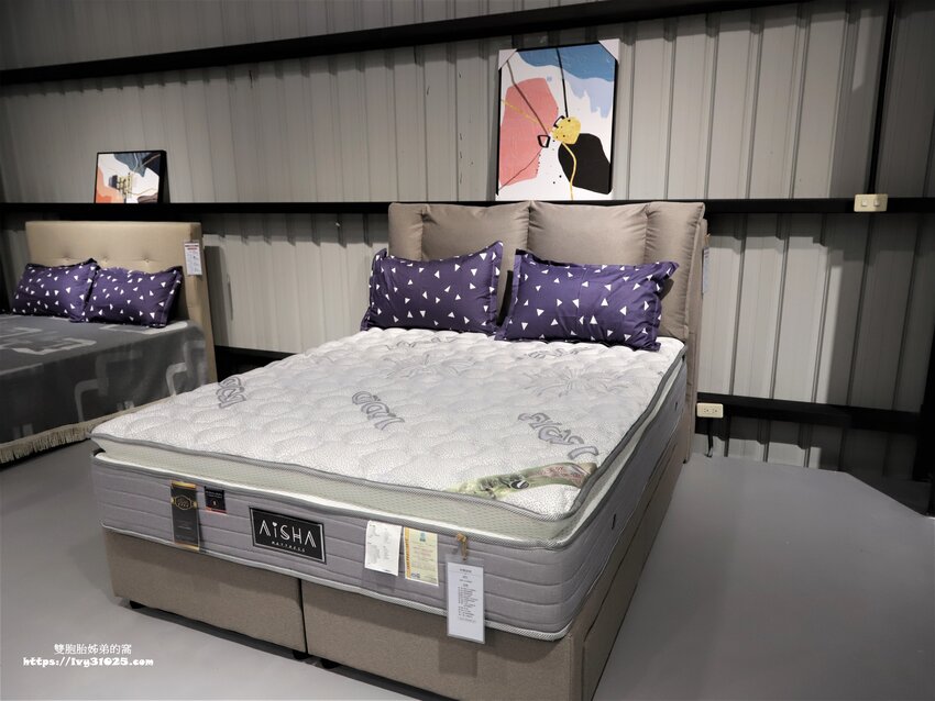 桃園沙發床墊推薦-愛莎家居沙發床墊龜山體驗館量身訂做擁有一個夢想的家