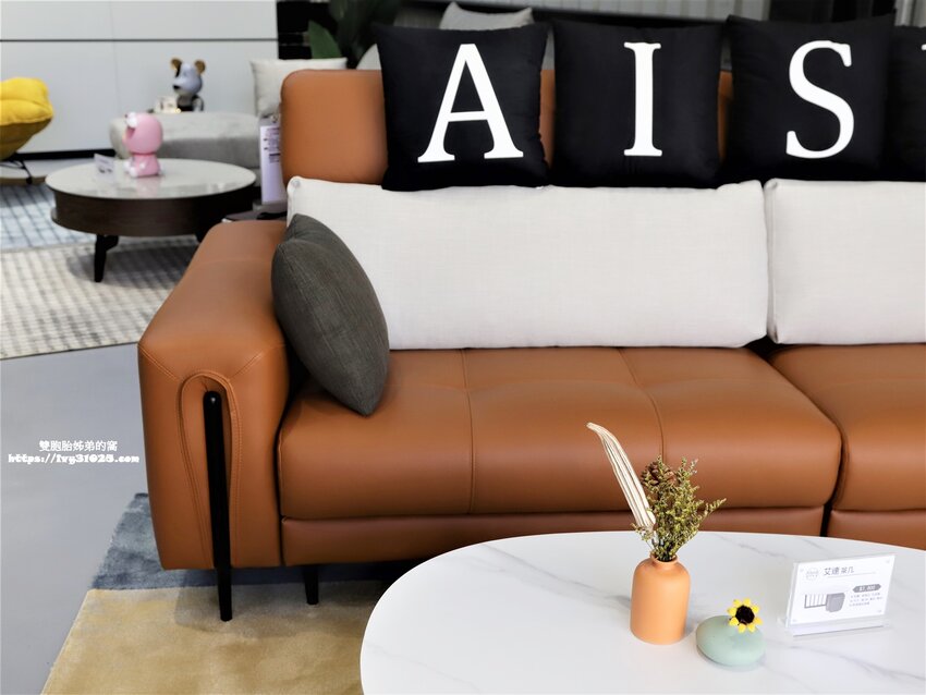 桃園沙發床墊推薦-愛莎家居沙發床墊龜山體驗館量身訂做擁有一個夢想的家