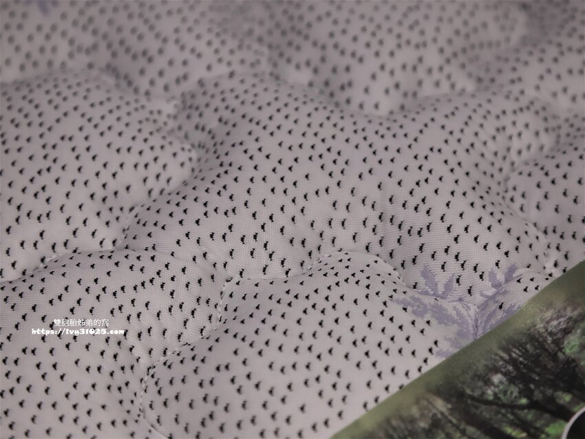 桃園沙發床墊推薦-愛莎家居沙發床墊龜山體驗館量身訂做擁有一個夢想的家