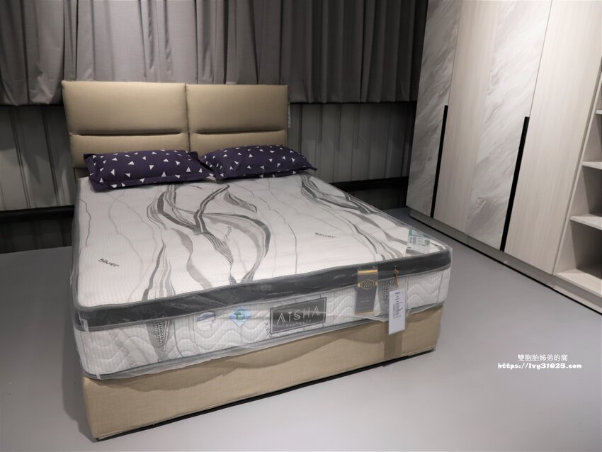 桃園沙發床墊推薦-愛莎家居沙發床墊龜山體驗館量身訂做擁有一個夢想的家