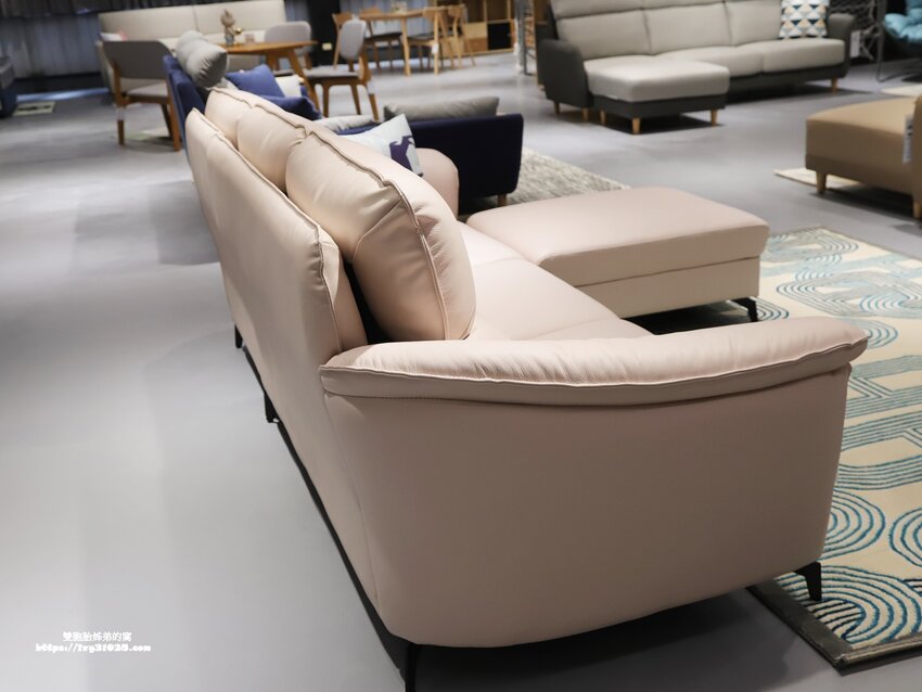 桃園沙發床墊推薦-愛莎家居沙發床墊龜山體驗館量身訂做擁有一個夢想的家