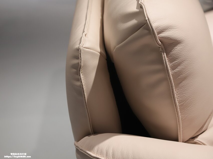 桃園沙發床墊推薦-愛莎家居沙發床墊龜山體驗館量身訂做擁有一個夢想的家