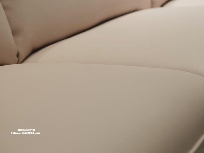 桃園沙發床墊推薦-愛莎家居沙發床墊龜山體驗館量身訂做擁有一個夢想的家